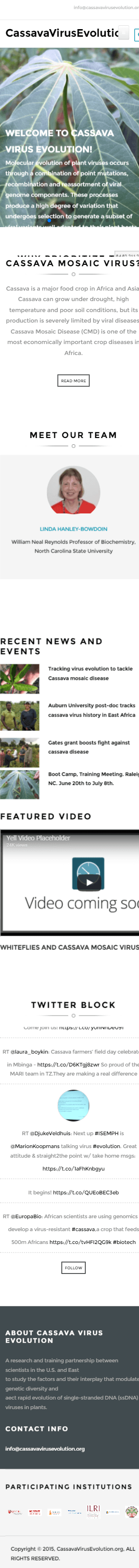 Cassava virus evolution mobile