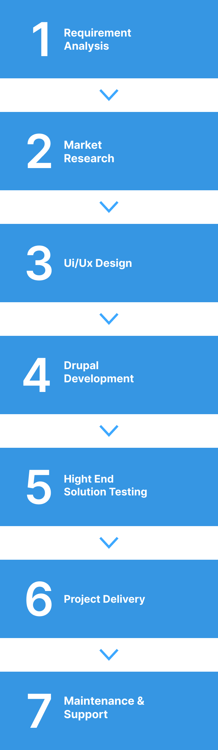 Drupal Development Process