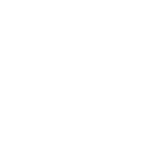 BREADTH OF PROJECTS