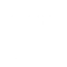 Custom Web UI/UX Designs