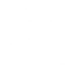 iot development service